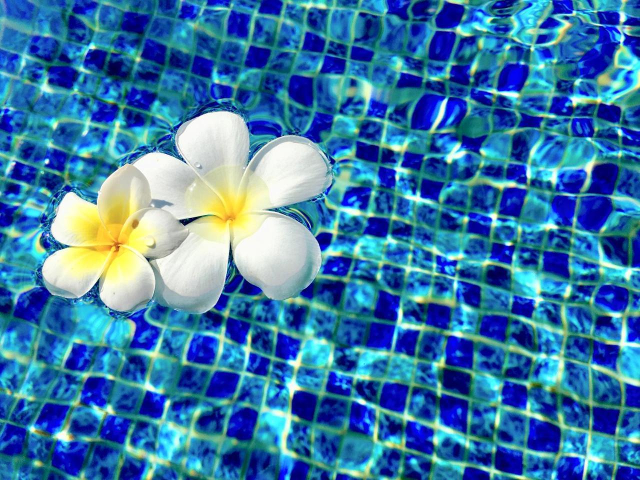 La Maison Nil Manel Hotel Ahungalla Ngoại thất bức ảnh