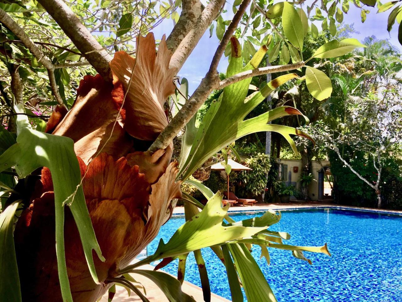 La Maison Nil Manel Hotel Ahungalla Ngoại thất bức ảnh